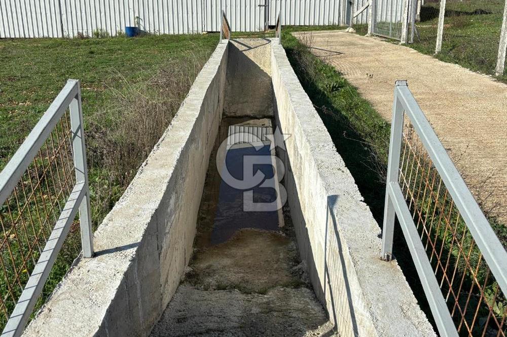 KIRKLARELİ VİZE EVRENLİ' DE 12.500 M² EŞSİZ BİR ÇİFTLİK FIRSATI