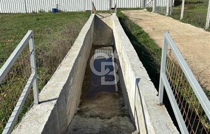 KIRKLARELİ VİZE EVRENLİ' DE 12.500 M² EŞSİZ BİR ÇİFTLİK FIRSATI