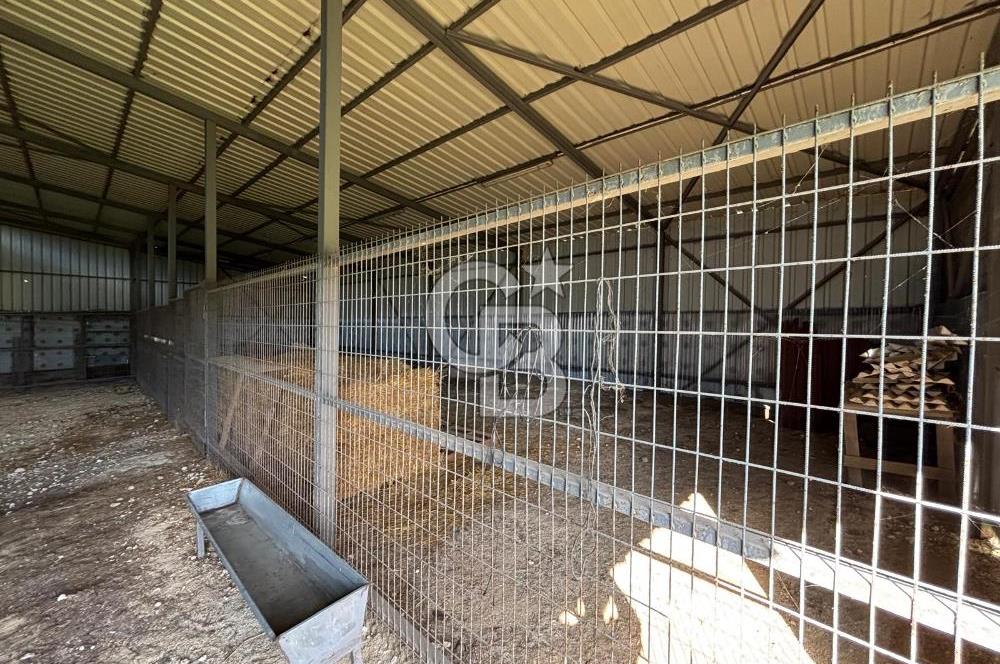 KIRKLARELİ VİZE EVRENLİ' DE 12.500 M² EŞSİZ BİR ÇİFTLİK FIRSATI