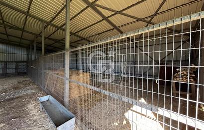 KIRKLARELİ VİZE EVRENLİ' DE 12.500 M² EŞSİZ BİR ÇİFTLİK FIRSATI