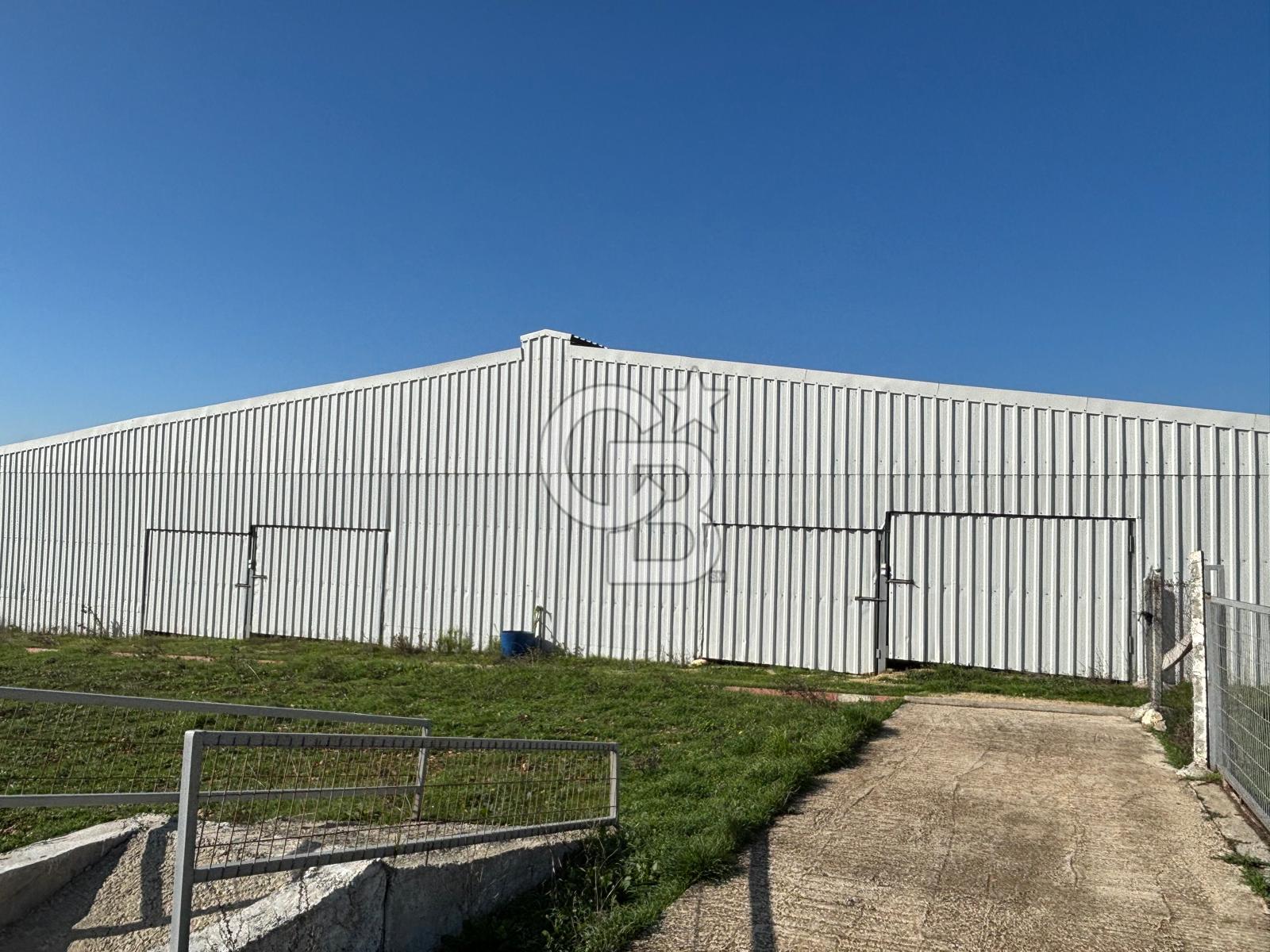 KIRKLARELİ VİZE EVRENLİ' DE 12.500 M² EŞSİZ BİR ÇİFTLİK FIRSATI