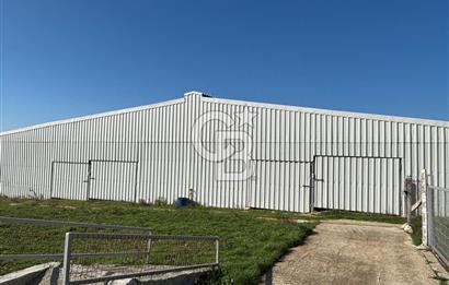 KIRKLARELİ VİZE EVRENLİ' DE 12.500 M² EŞSİZ BİR ÇİFTLİK FIRSATI