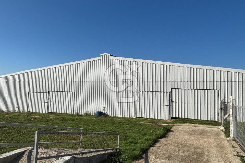 KIRKLARELİ VİZE EVRENLİ' DE 12.500 M² EŞSİZ BİR ÇİFTLİK FIRSATI