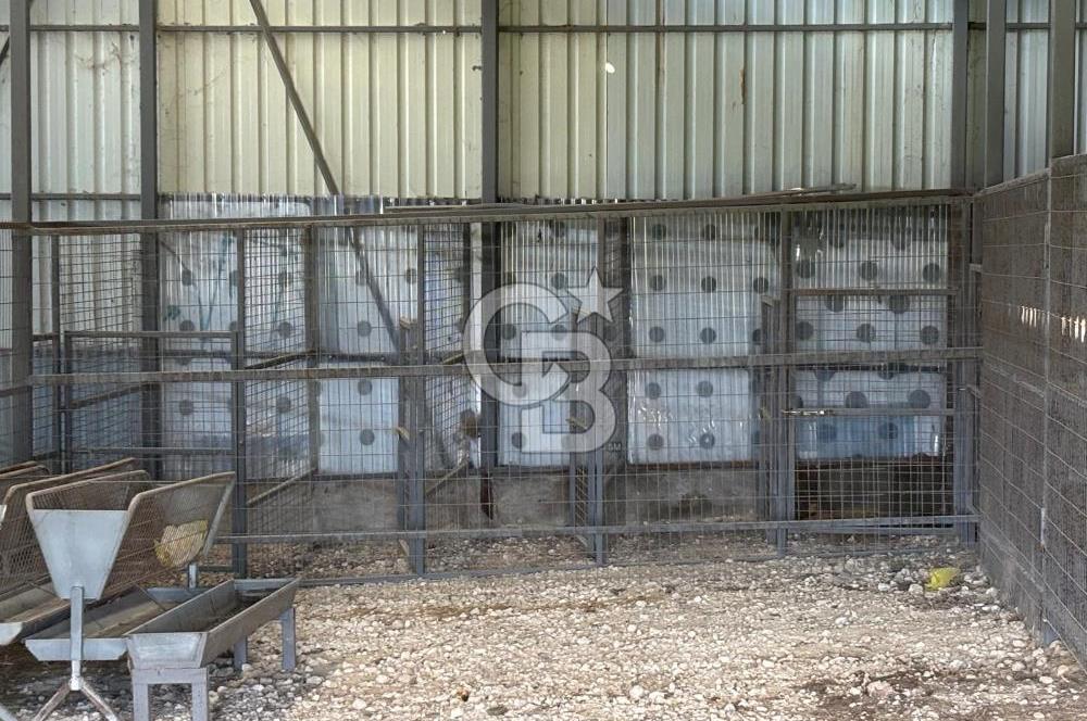 KIRKLARELİ VİZE EVRENLİ' DE 12.500 M² EŞSİZ BİR ÇİFTLİK FIRSATI