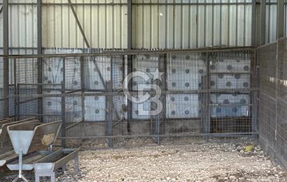 KIRKLARELİ VİZE EVRENLİ' DE 12.500 M² EŞSİZ BİR ÇİFTLİK FIRSATI