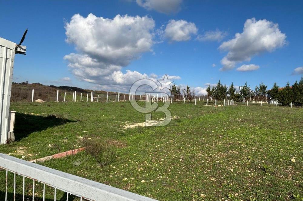 KIRKLARELİ VİZE EVRENLİ' DE 12.500 M² EŞSİZ BİR ÇİFTLİK FIRSATI