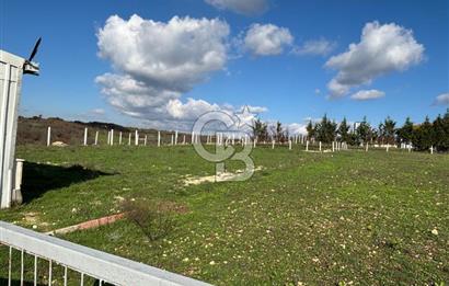 KIRKLARELİ VİZE EVRENLİ' DE 12.500 M² EŞSİZ BİR ÇİFTLİK FIRSATI