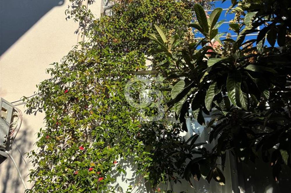 ŞARKÖY HOŞKÖY' DE DENİZE SIFIR SİTEDE YAZLIK TRİPLEX VİLLA