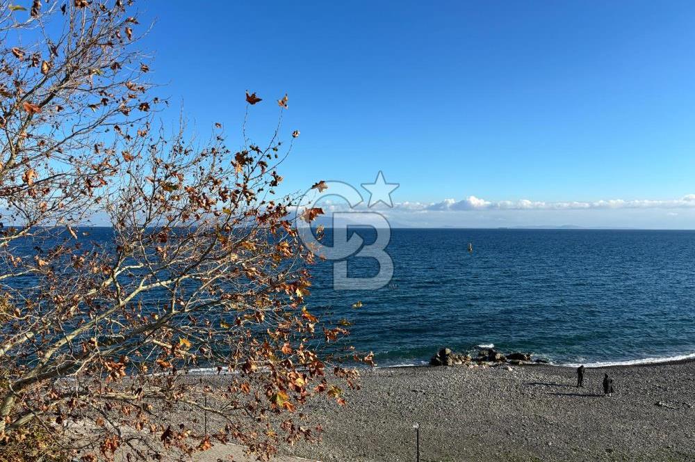 DENİZE SIFIR KOMPLE BİNA İŞLETMESİ : 8 ODALI APART VE MEYHANE