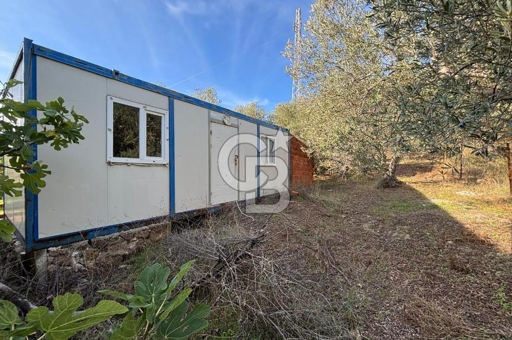 Çanakkale Ayvacık Ahmetçe Köyü 537 Metre Satılık Zeytinlik