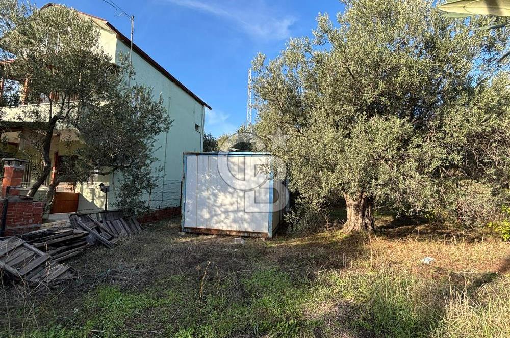 Çanakkale Ayvacık Ahmetçe Köyü 537 Metre Satılık Zeytinlik