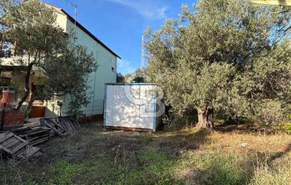 Çanakkale Ayvacık Ahmetçe Köyü 537 Metre Satılık Zeytinlik