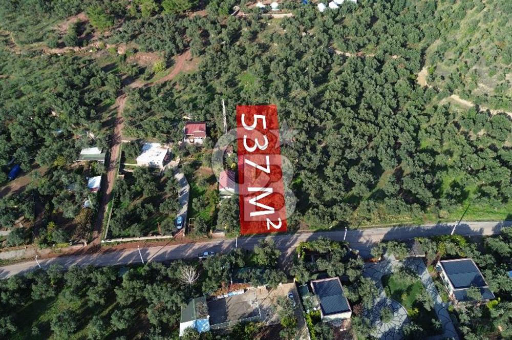 Çanakkale Ayvacık Ahmetçe Köyü 537 Metre Satılık Zeytinlik