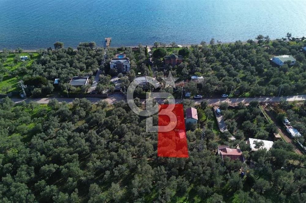Çanakkale Ayvacık Ahmetçe Köyü 537 Metre Satılık Zeytinlik