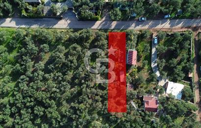 Çanakkale Ayvacık Ahmetçe Köyü 537 Metre Satılık Zeytinlik