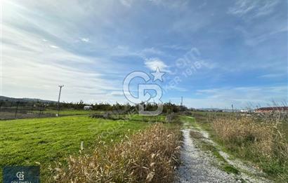 ÇANAKKALE LAPSEKİ ÇARDAK SATILIK 247 M2 ARSA