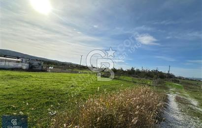 ÇANAKKALE LAPSEKİ ÇARDAK SATILIK 247 M2 ARSA