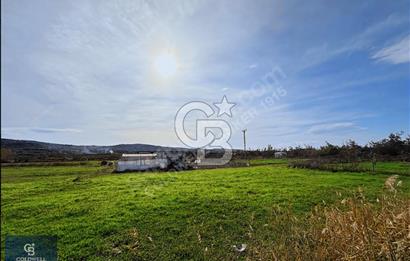 ÇANAKKALE LAPSEKİ ÇARDAK SATILIK 247 M2 ARSA