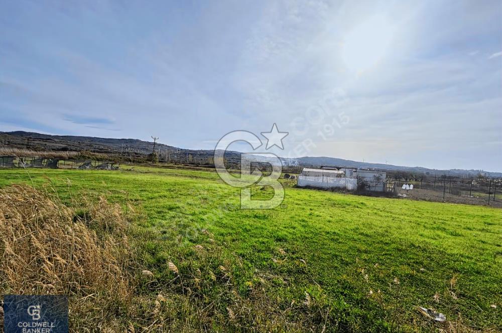 ÇANAKKALE LAPSEKİ ÇARDAK SATILIK 247 M2 ARSA