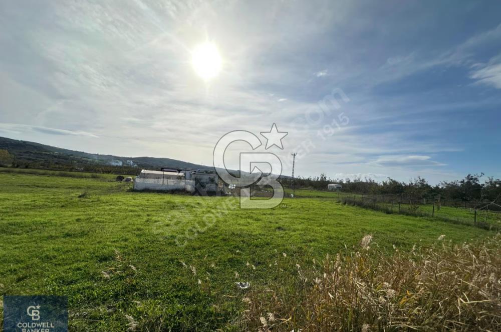 ÇANAKKALE LAPSEKİ ÇARDAK SATILIK 247 M2 ARSA