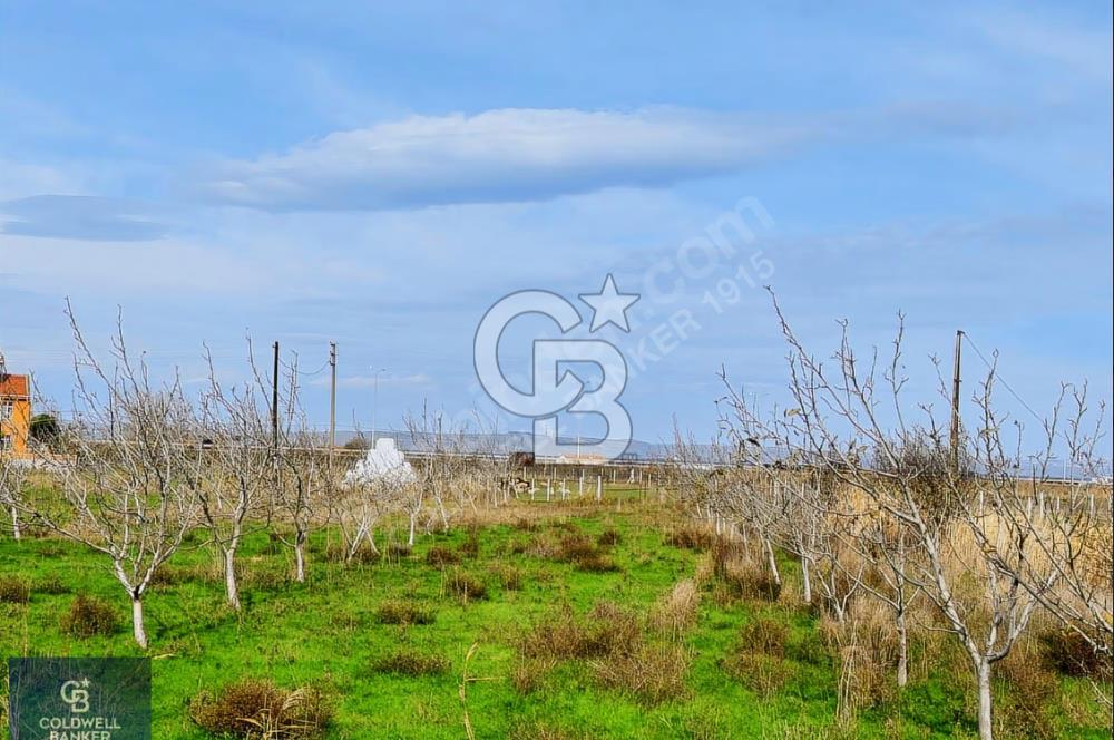 ÇANAKKALE LAPSEKİ ÇARDAK SATILIK 247 M2 ARSA