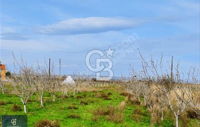 ÇANAKKALE LAPSEKİ ÇARDAK SATILIK 247 M2 ARSA