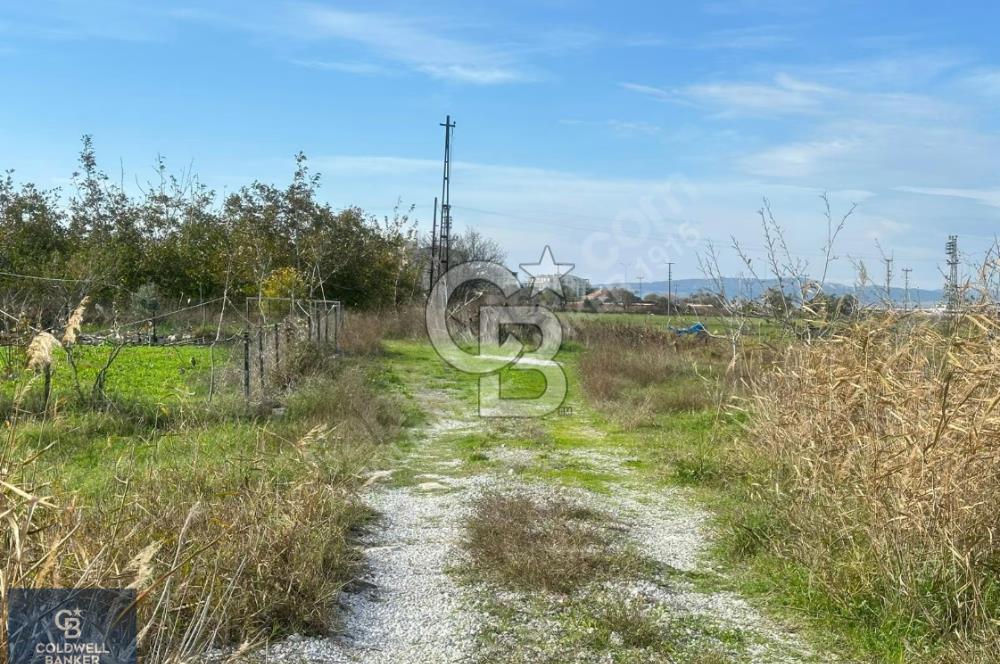 ÇANAKKALE LAPSEKİ ÇARDAK SATILIK 247 M2 ARSA