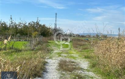 ÇANAKKALE LAPSEKİ ÇARDAK SATILIK 247 M2 ARSA