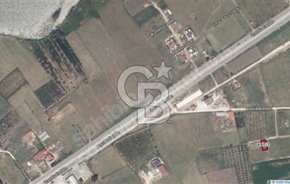 ÇANAKKALE LAPSEKİ ÇARDAK SATILIK 247 M2 ARSA