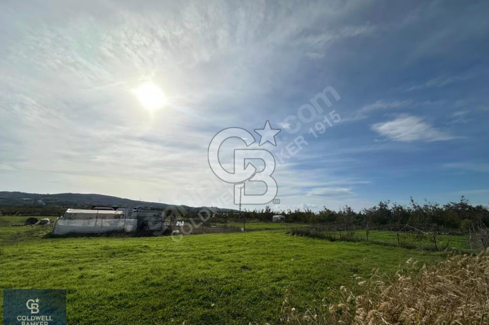 ÇANAKKALE LAPSEKİ ÇARDAK SATILIK 247 M2 ARSA