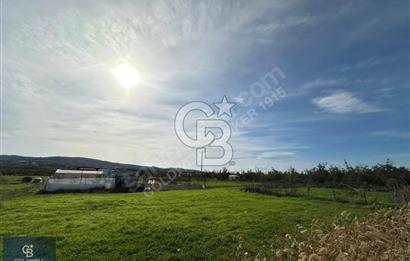 ÇANAKKALE LAPSEKİ ÇARDAK SATILIK 247 M2 ARSA