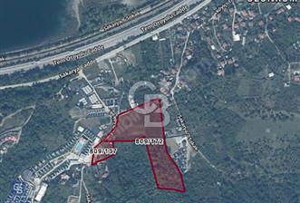 YATIRIMCIYA ÖZEL SAPANCA' NIN PRESTİJLİ NOKTASINDA SATILIK ARSA - 1 - 315660