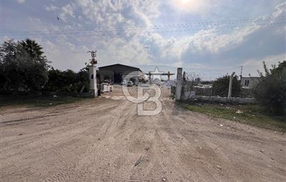 CB ERVA'DAN AYDIN KUYUCAKTA 6630 M2 SATILIK MERMER FABRİKASI