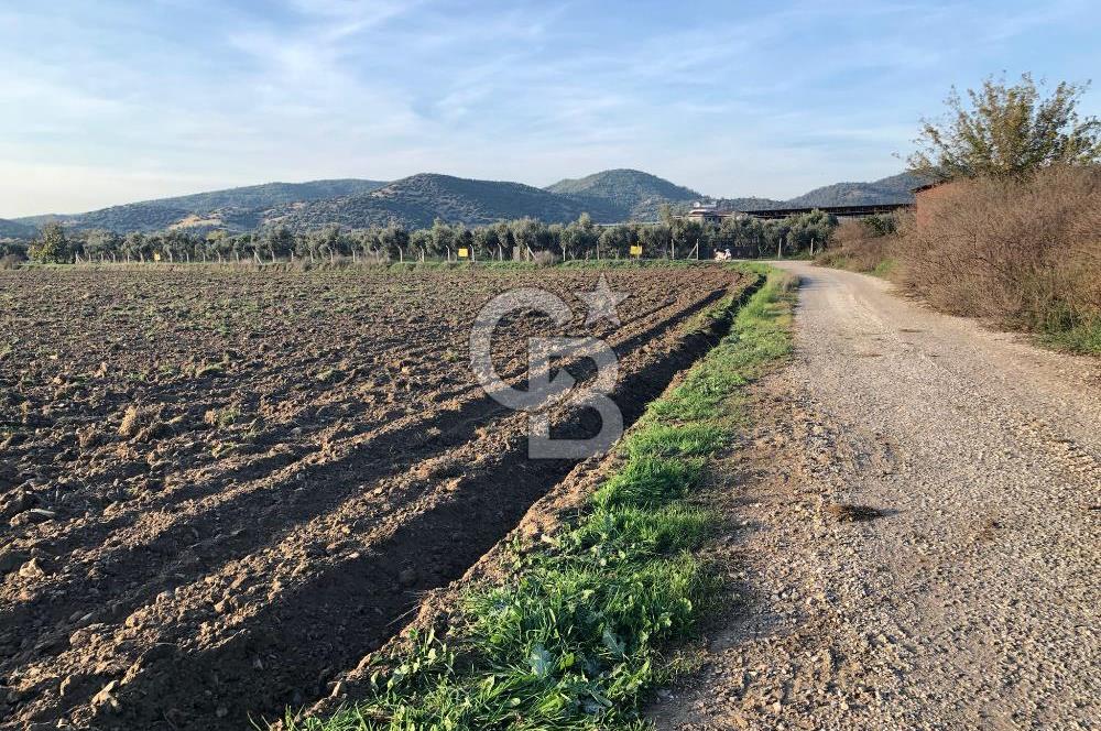 ARIKBAŞI DA SATILIK İMARA YAKIN YATIRIMLIK TARLA