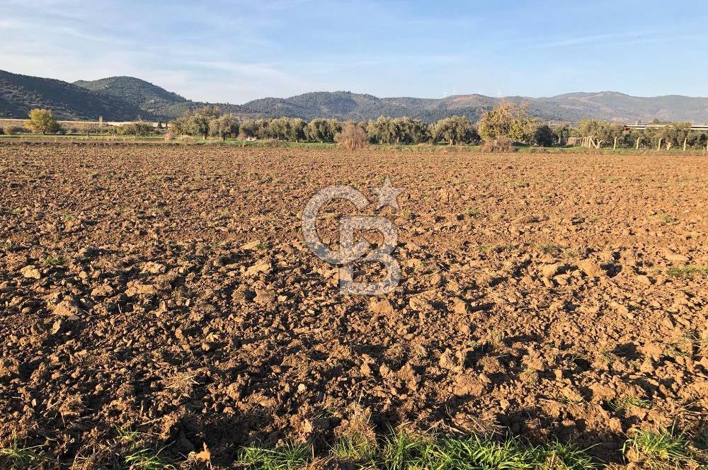 ARIKBAŞI DA SATILIK İMARA YAKIN YATIRIMLIK TARLA