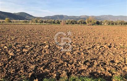 ARIKBAŞI DA SATILIK İMARA YAKIN YATIRIMLIK TARLA