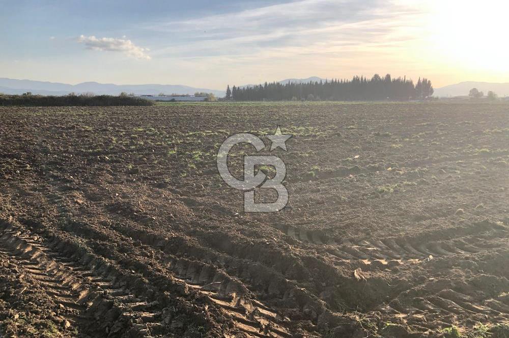 ARIKBAŞI DA SATILIK İMARA YAKIN YATIRIMLIK TARLA