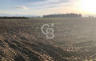 ARIKBAŞI DA SATILIK İMARA YAKIN YATIRIMLIK TARLA