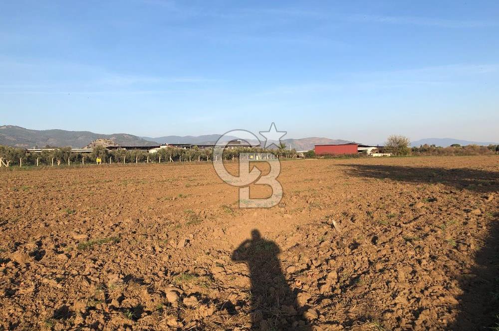 ARIKBAŞI DA SATILIK İMARA YAKIN YATIRIMLIK TARLA