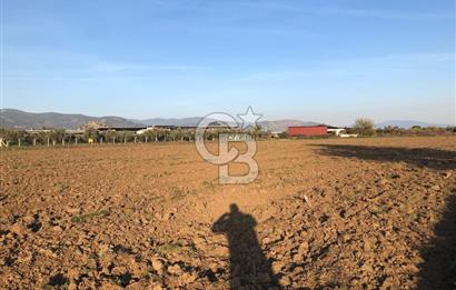 ARIKBAŞI DA SATILIK İMARA YAKIN YATIRIMLIK TARLA