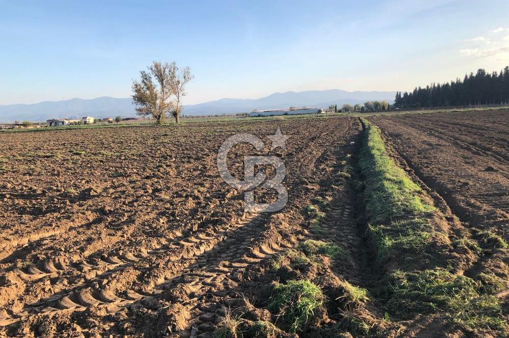 ARIKBAŞI DA SATILIK İMARA YAKIN YATIRIMLIK TARLA