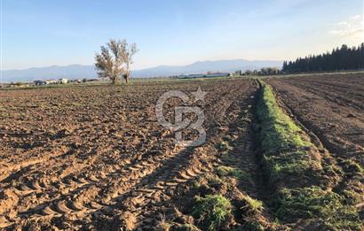 ARIKBAŞI DA SATILIK İMARA YAKIN YATIRIMLIK TARLA