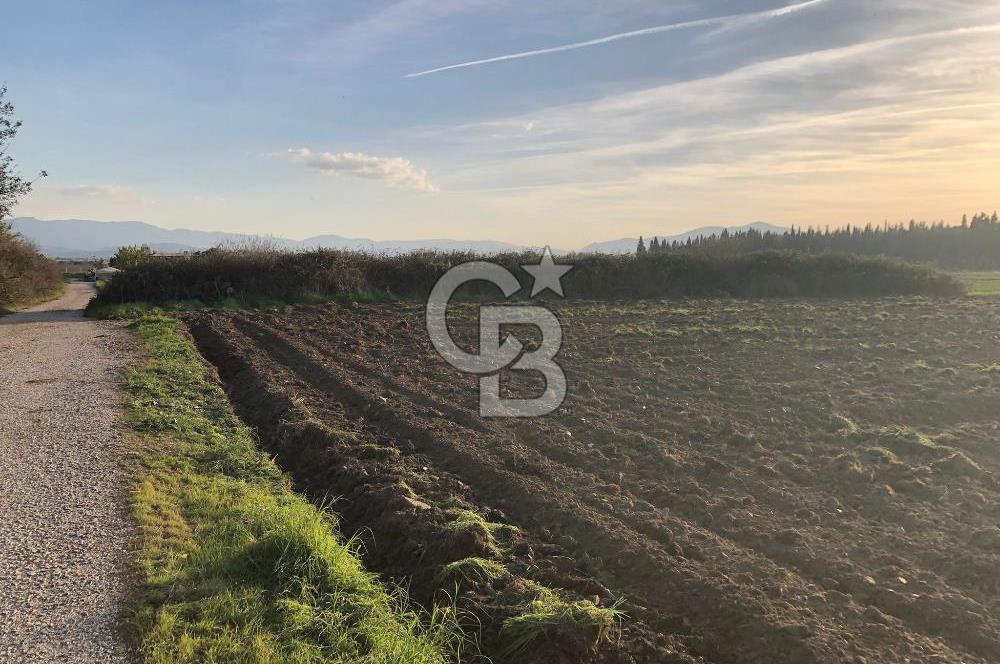 ARIKBAŞI DA SATILIK İMARA YAKIN YATIRIMLIK TARLA