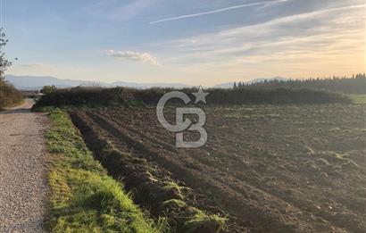 ARIKBAŞI DA SATILIK İMARA YAKIN YATIRIMLIK TARLA