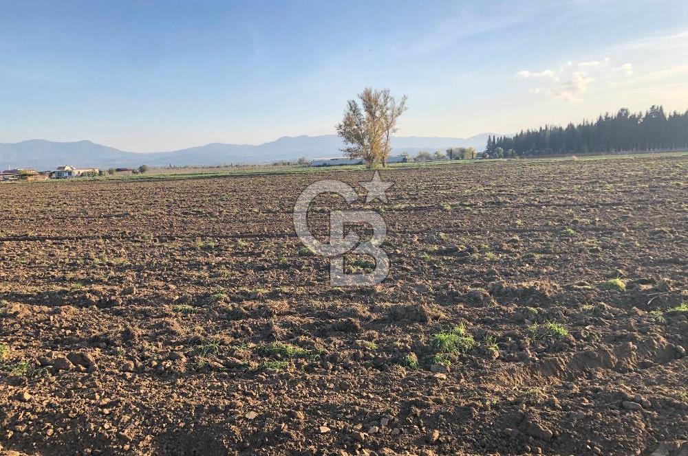 ARIKBAŞI DA SATILIK İMARA YAKIN YATIRIMLIK TARLA