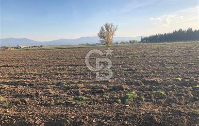 ARIKBAŞI DA SATILIK İMARA YAKIN YATIRIMLIK TARLA