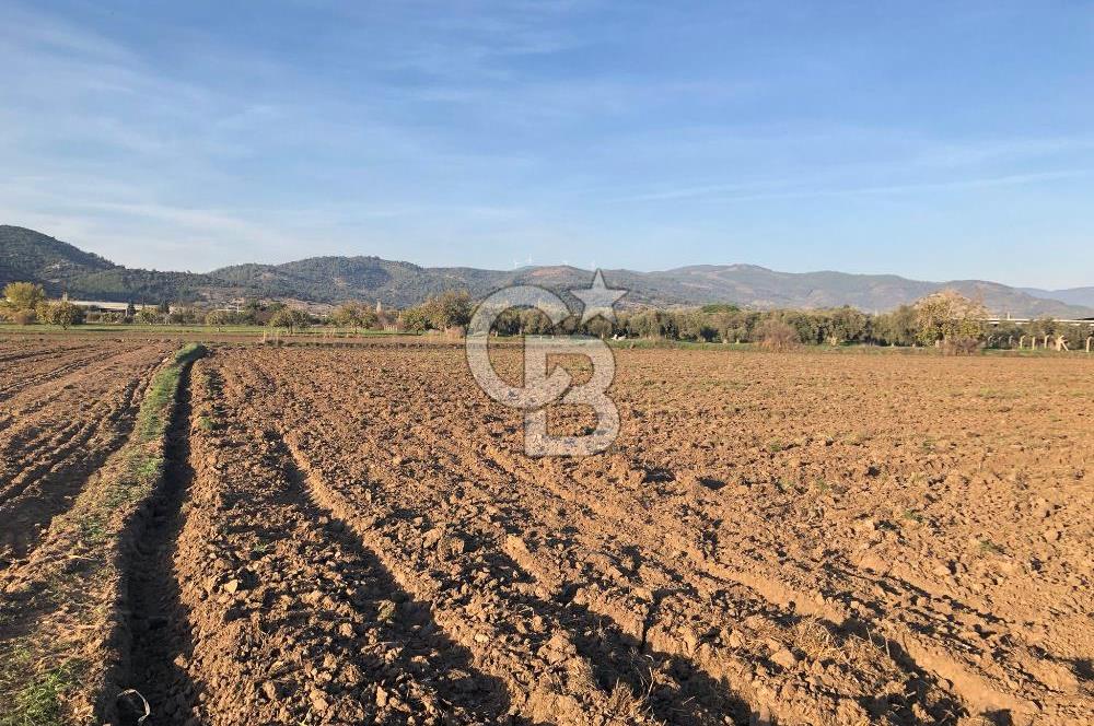 ARIKBAŞI DA SATILIK İMARA YAKIN YATIRIMLIK TARLA