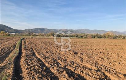 ARIKBAŞI DA SATILIK İMARA YAKIN YATIRIMLIK TARLA