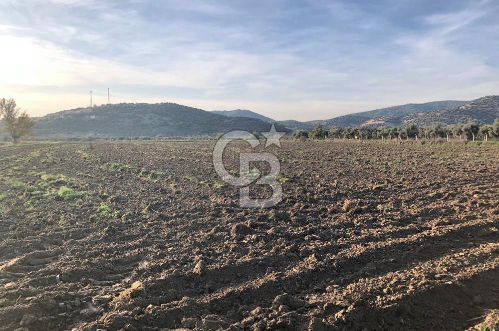 ARIKBAŞI DA SATILIK İMARA YAKIN YATIRIMLIK TARLA