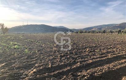 ARIKBAŞI DA SATILIK İMARA YAKIN YATIRIMLIK TARLA